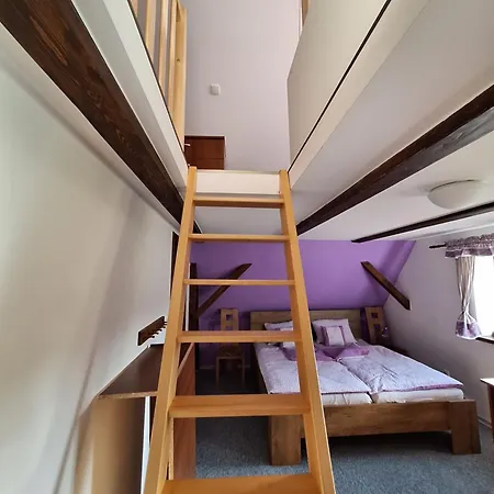 Tatil Evi U Krizku V Orlickych Horach *